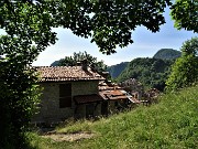 Sui sentieri dal Passo di Crosnello spettacolo del Giglio martagone - 16giu22 - FOTOGALLERY